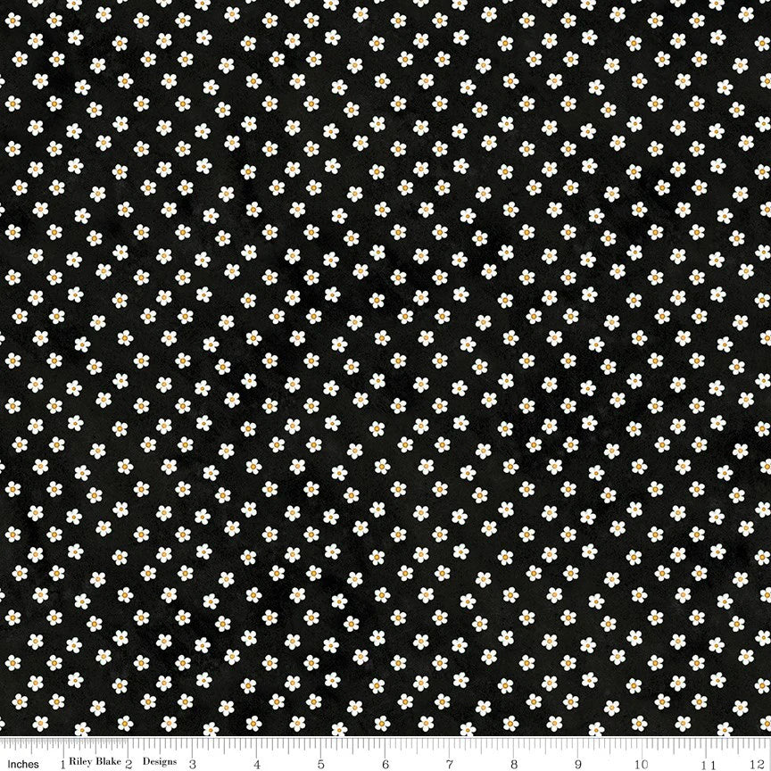 *NEW* Mini Daisies